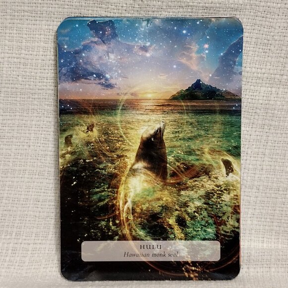 The Hawaiian Oracle - Picture 14 of 14